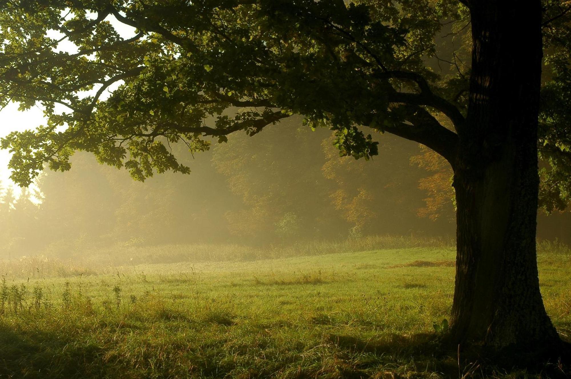Ubytovanie U Mirca Nova Lubovna Buitenkant foto