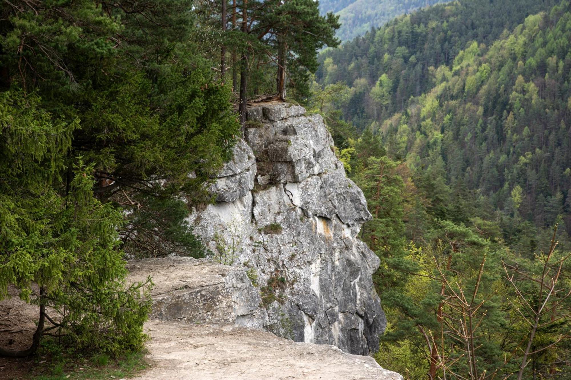 Ubytovanie U Mirca Nova Lubovna Buitenkant foto